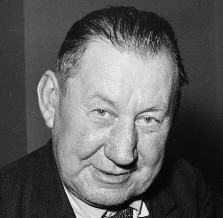 Berda József (Brda József)