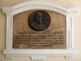 Gálffy Ignác, szombatfalvi primor