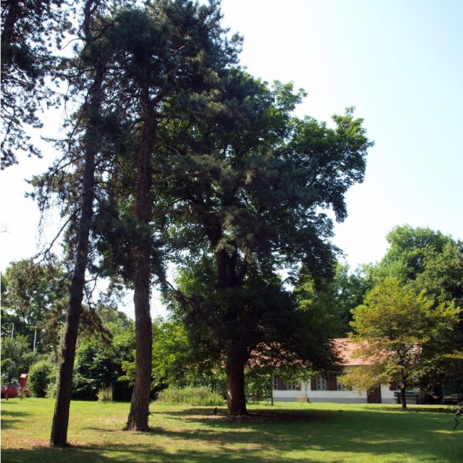 Budapest, Jókai-villa