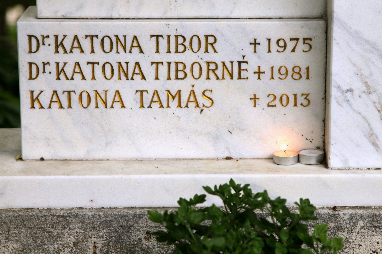 Katona Tamásra emlékezett a NÖRI